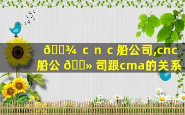 🌾 ｃｎｃ船公司,cnc船公 🌻 司跟cma的关系